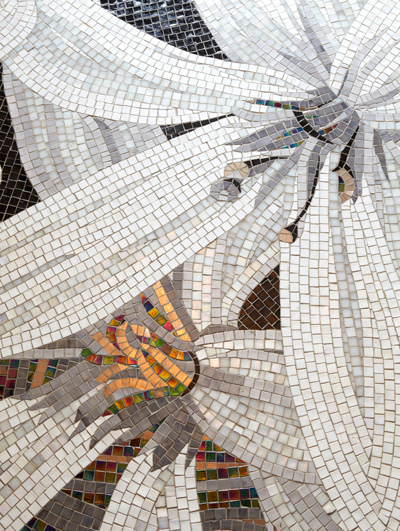 APR_StephanieCoutas_VillaSaid_web