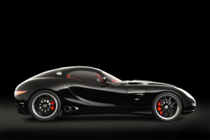 Magna-side-black