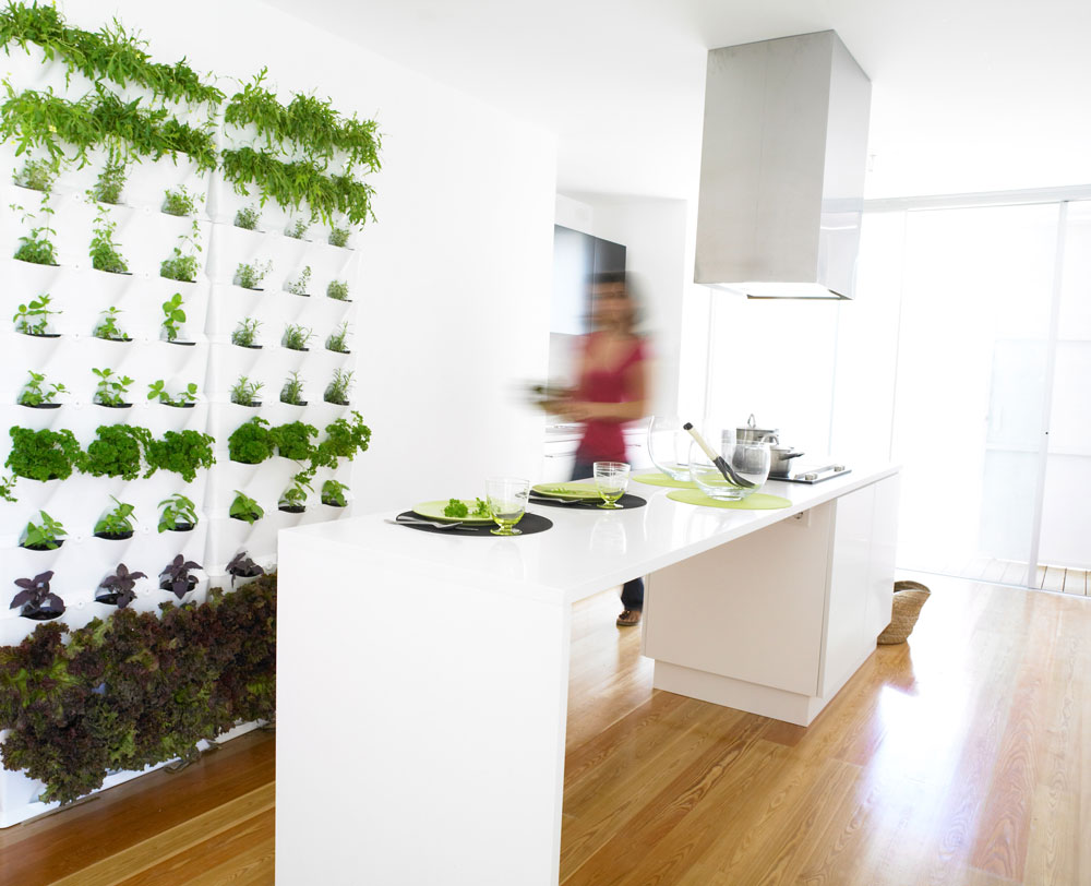 Minigarden_kitchen_3