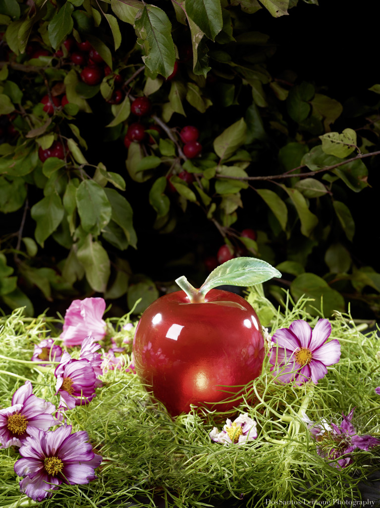 APPLE paperweight (2)