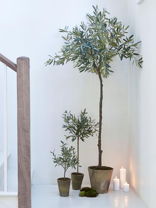 Faux_Olive_Tree