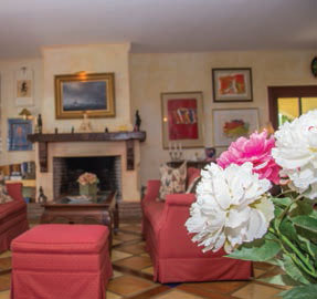 Primrose Real Estate