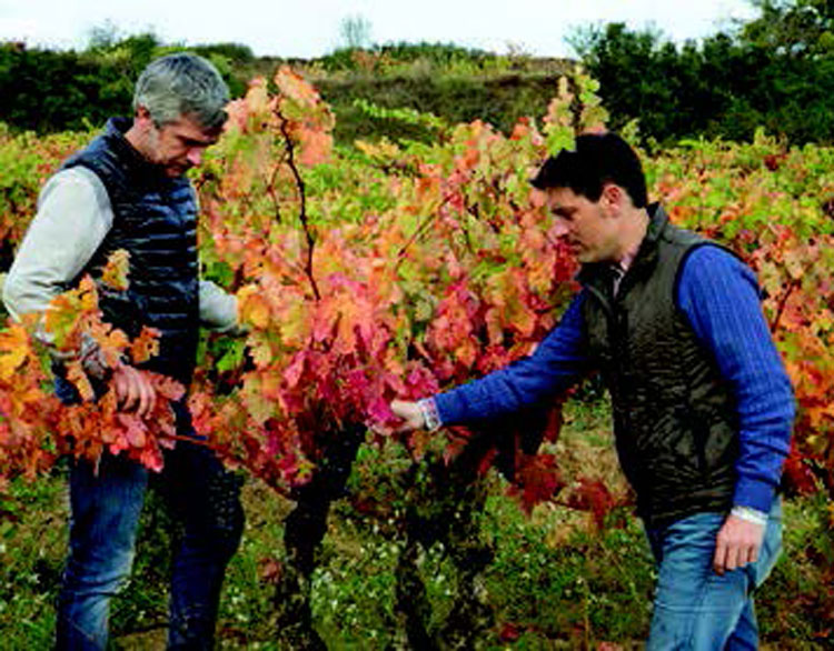 Denomination Upheaval - Home & Lifestyle Magazine