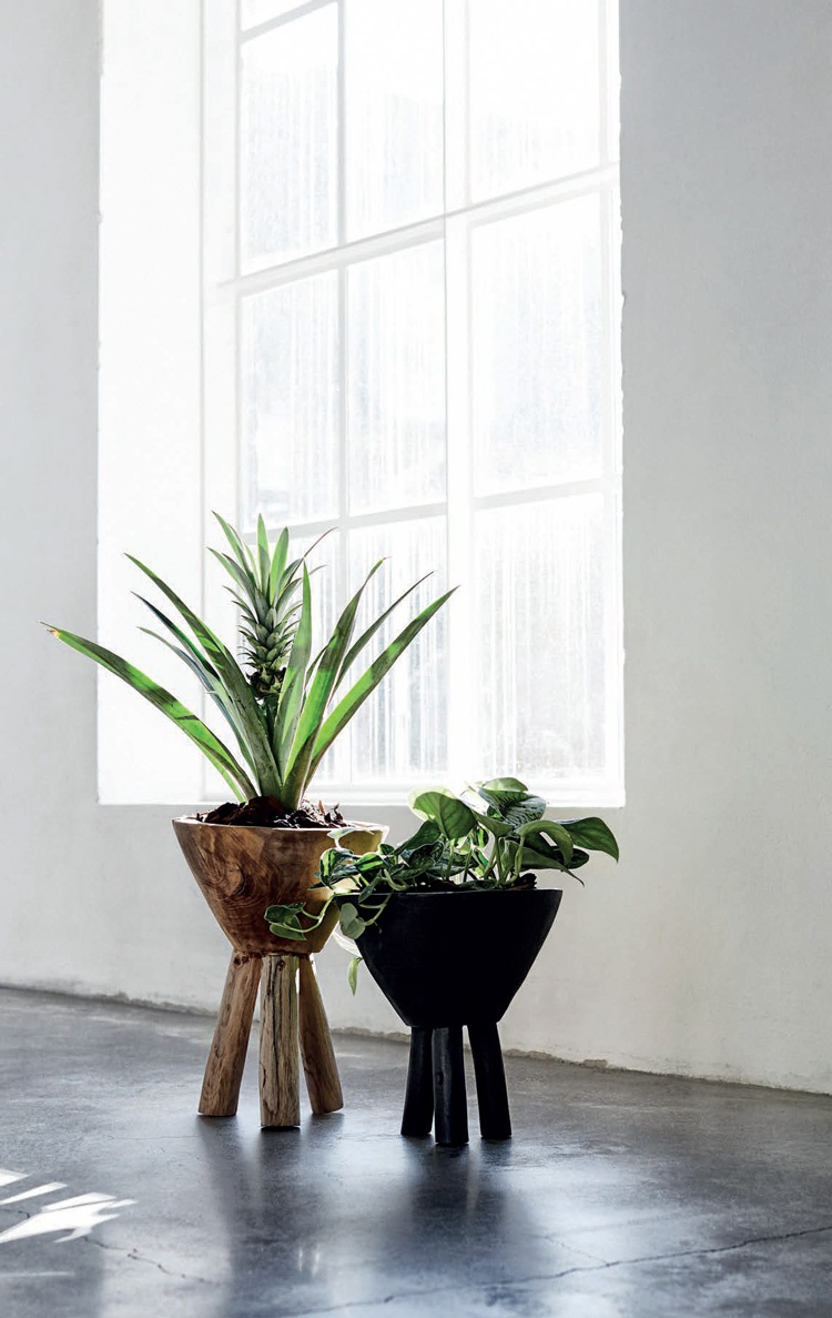 Celebrating Nature with VASES - Home and Lifestyle Magazine