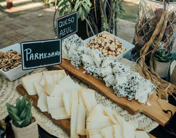 Modern Gastronomy That is Full of Flavour - Home and Lifestyle Magazine