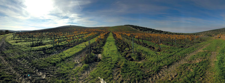 Montilla and all it stands for